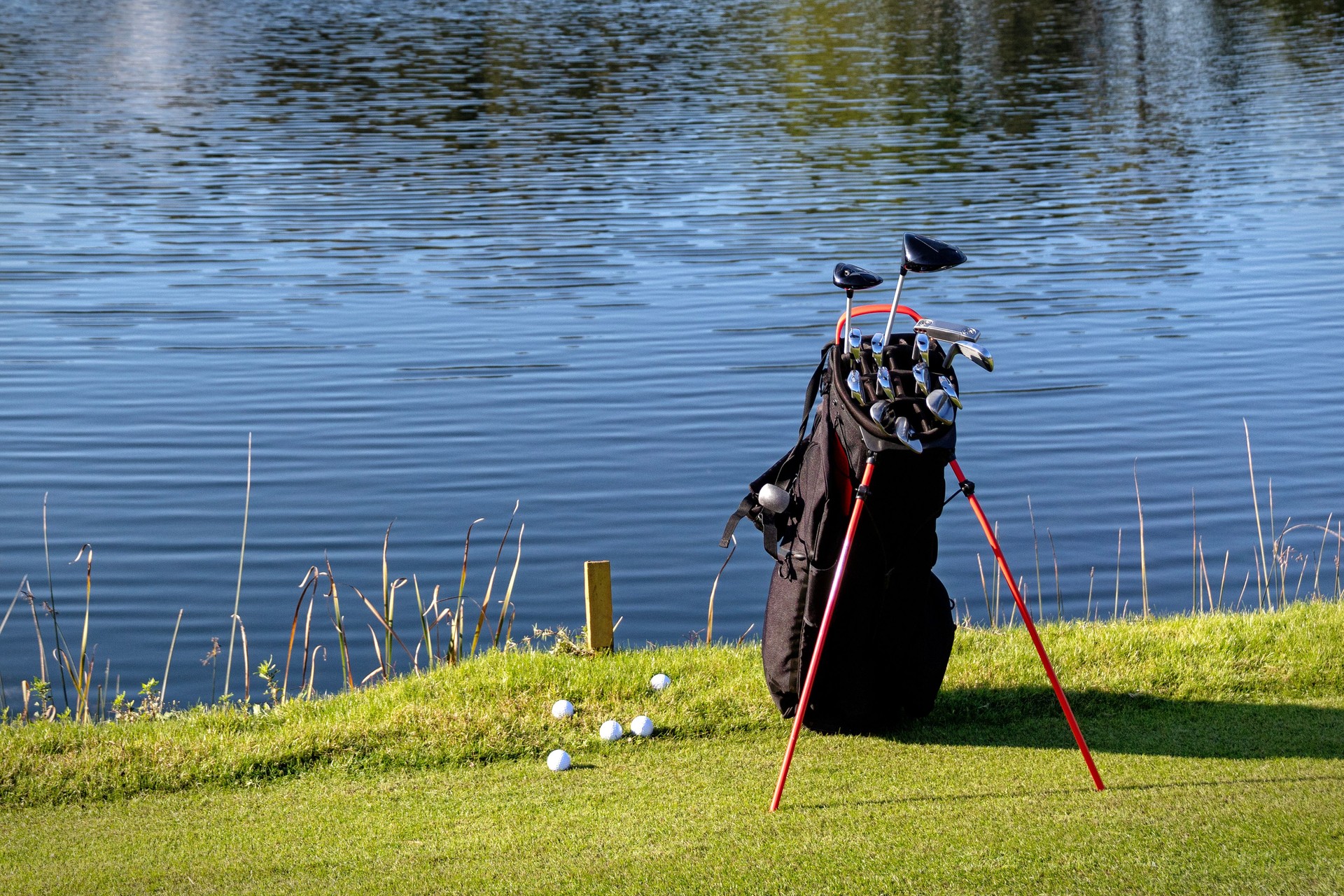 Golf bag in a golf course.